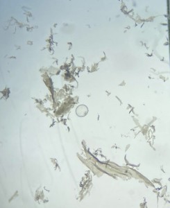 82de5b24-47f6-4ff4-95c9-02b18d7c8d19